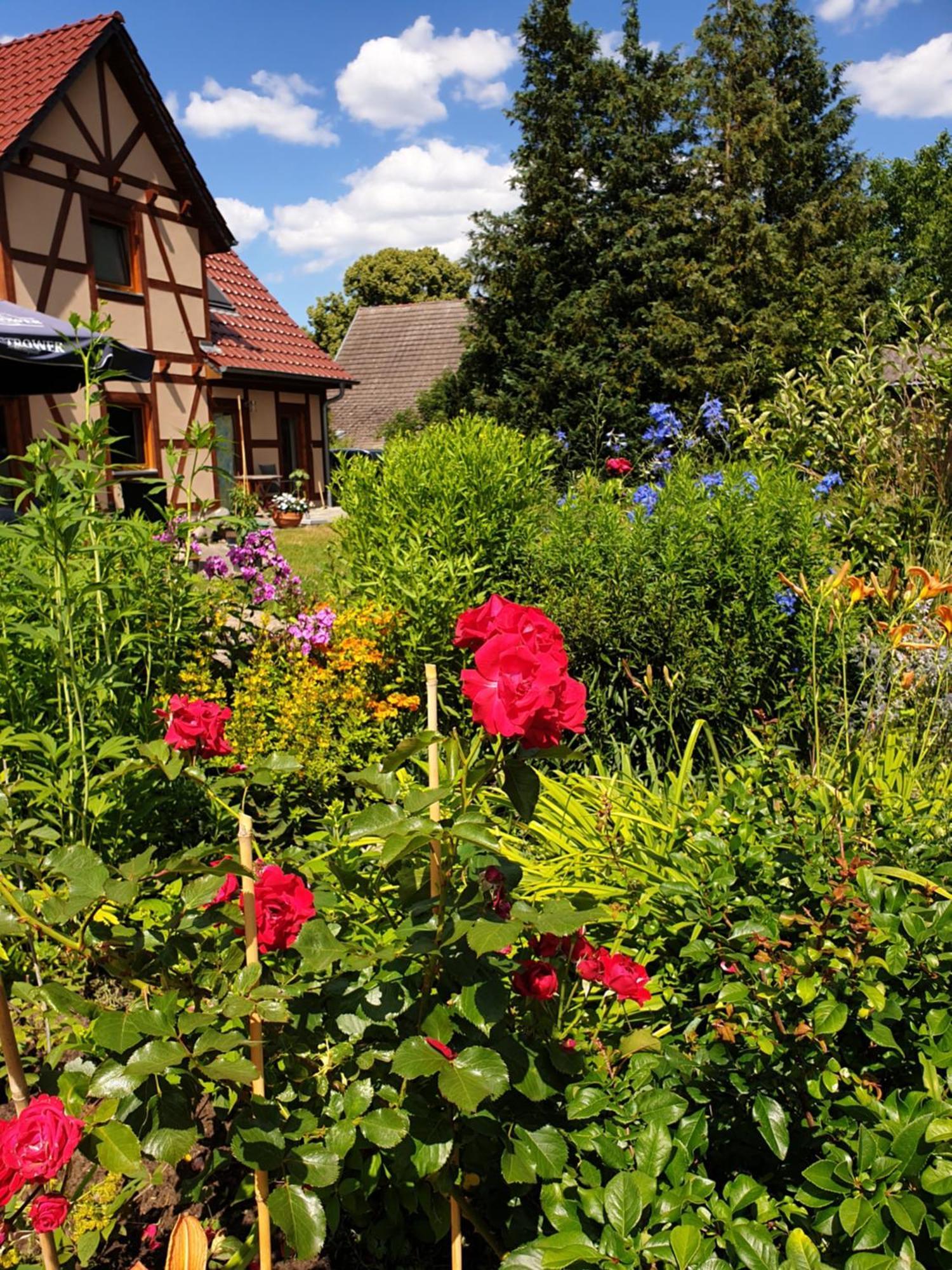 Ferienwohnung Peetsch Am See ミロー エクステリア 写真