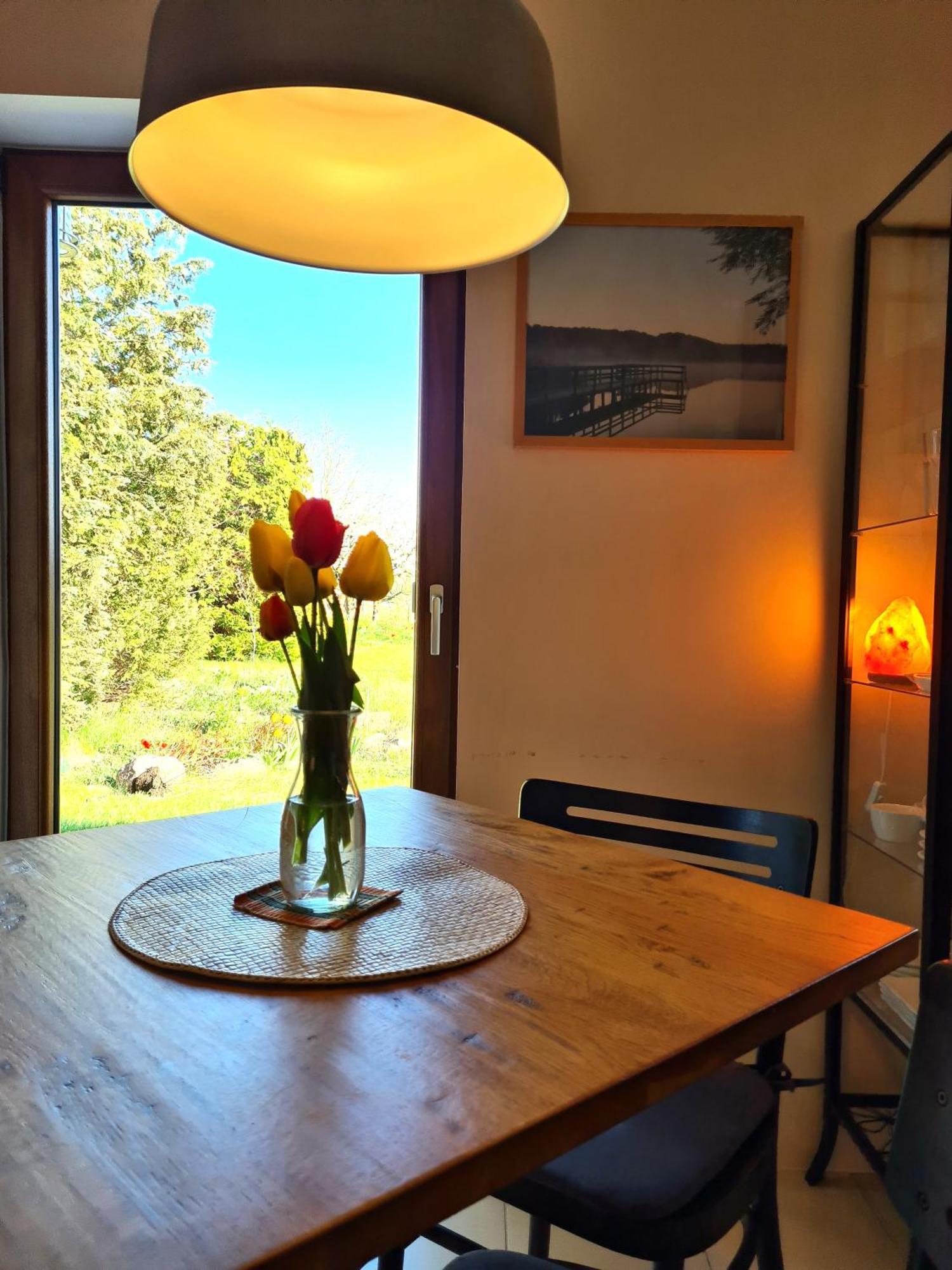Ferienwohnung Peetsch Am See ミロー エクステリア 写真